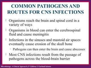 Ch. 24 Infections of Central Nervous System | PPT