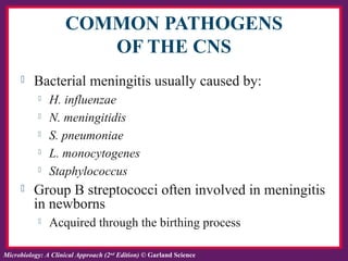 Ch. 24 Infections of Central Nervous System | PPT
