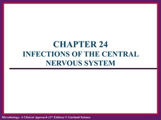 ISBN: 978-0-8153-6514-3Microbiology: A Clinical Approach, by Tony Srelkauskas © Garland ScienceMicrobiology: A Clinical Approach (2nd
Edition) © Garland Science
CHAPTER 24
INFECTIONS OF THE CENTRAL
NERVOUS SYSTEM
 