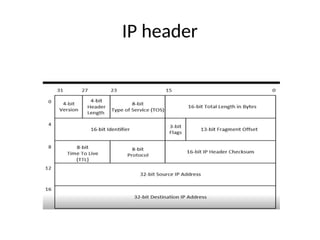 IP header
 