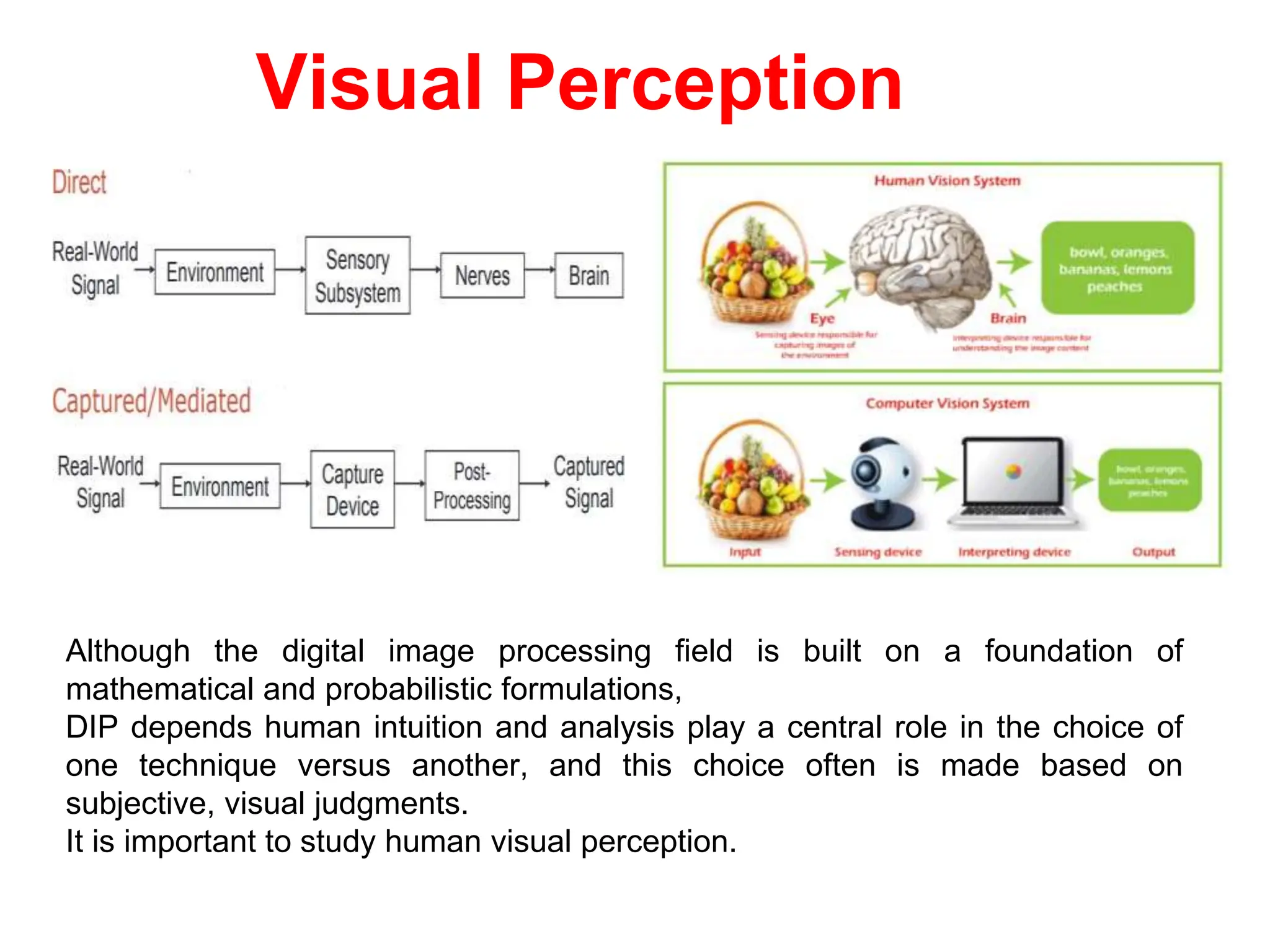 Visual Perception
Although the digital image processing field is built on a foundation of
mathematical and probabilistic formulations,
DIP depends human intuition and analysis play a central role in the choice of
one technique versus another, and this choice often is made based on
subjective, visual judgments.
It is important to study human visual perception.
 