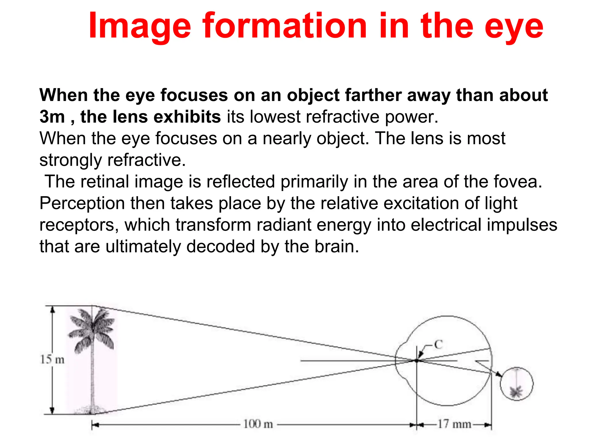Image formation in the eye
When the eye focuses on an object farther away than about
3m , the lens exhibits its lowest refractive power.
When the eye focuses on a nearly object. The lens is most
strongly refractive.
The retinal image is reflected primarily in the area of the fovea.
Perception then takes place by the relative excitation of light
receptors, which transform radiant energy into electrical impulses
that are ultimately decoded by the brain.
 