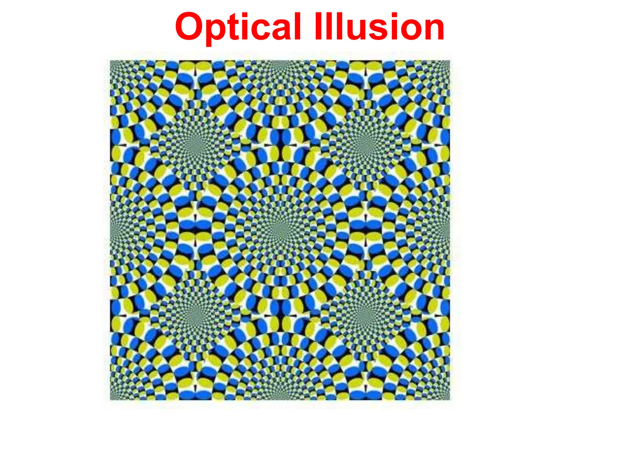 Optical Illusion
 