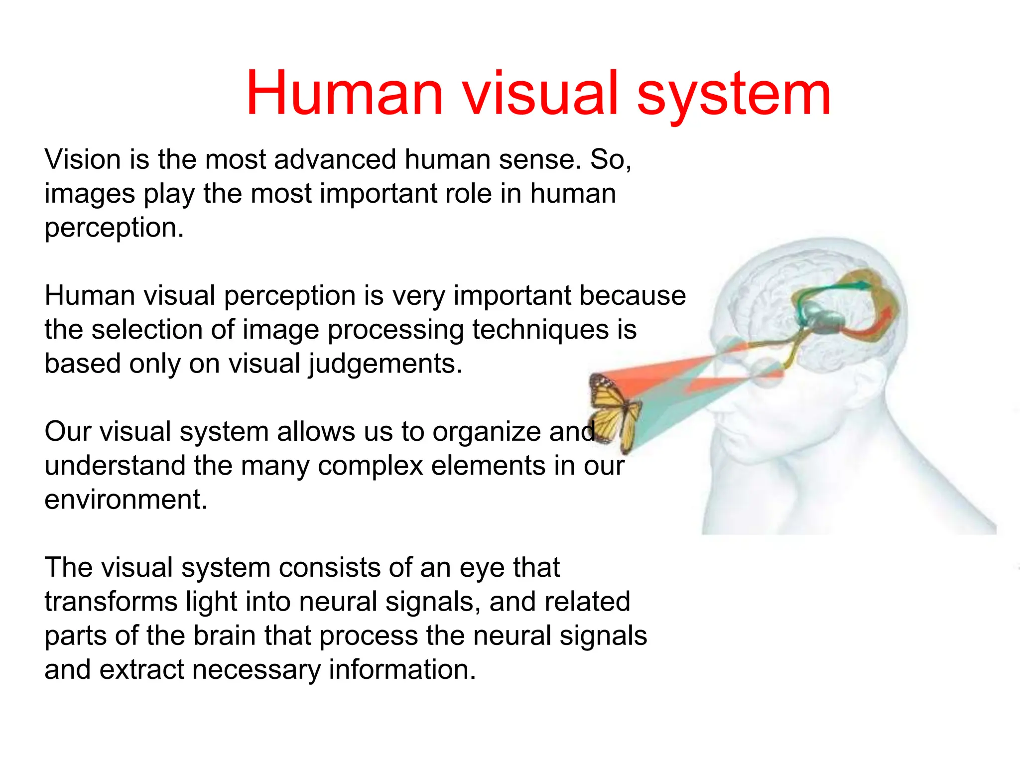 Human visual system
Vision is the most advanced human sense. So,
images play the most important role in human
perception.
Human visual perception is very important because
the selection of image processing techniques is
based only on visual judgements.
Our visual system allows us to organize and
understand the many complex elements in our
environment.
The visual system consists of an eye that
transforms light into neural signals, and related
parts of the brain that process the neural signals
and extract necessary information.
 