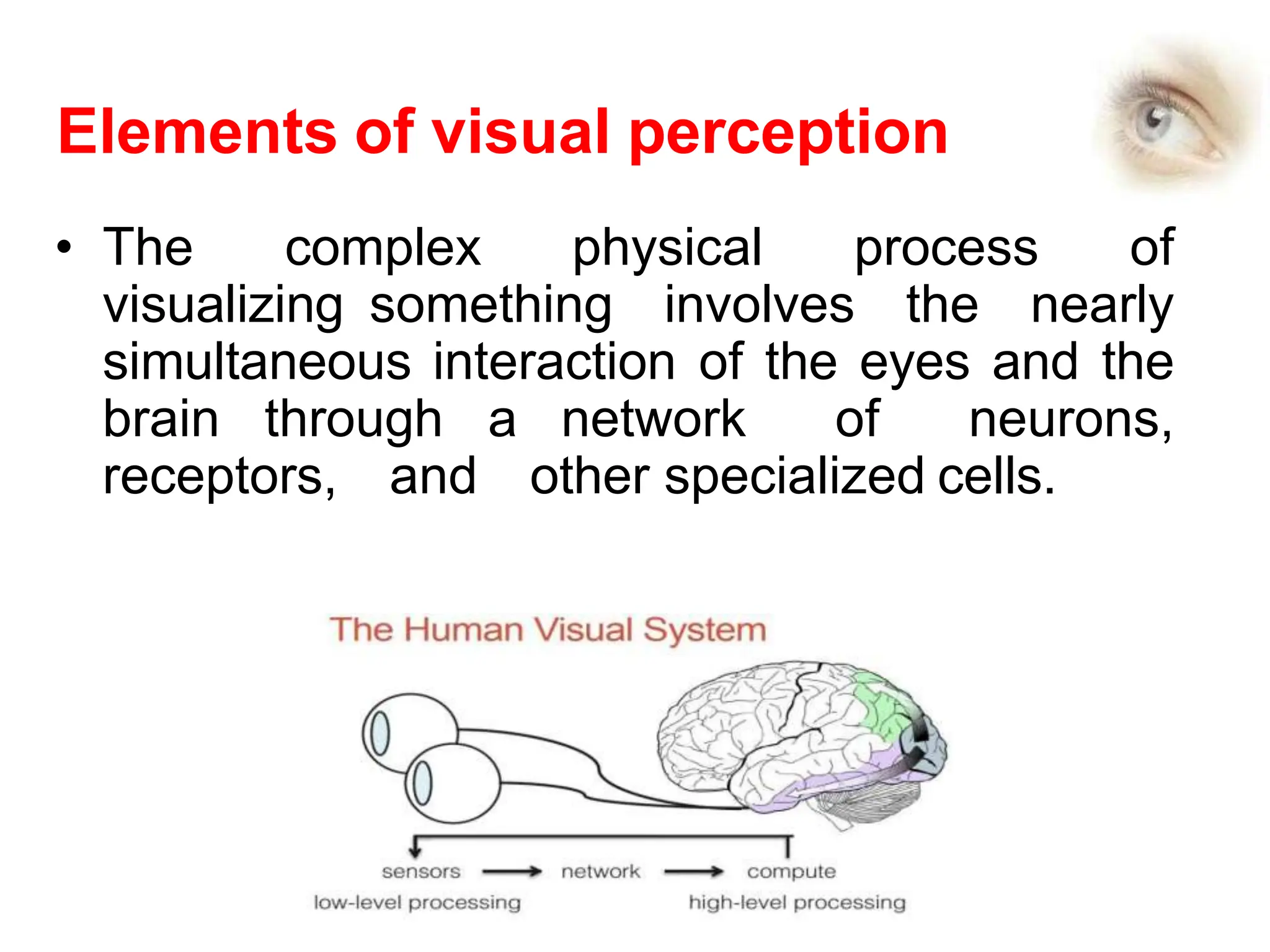 Elements of visual perception
• The complex physical process of
visualizing something involves the nearly
simultaneous interaction of the eyes and the
brain through a network of neurons,
receptors, and other specialized cells.
 