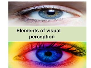 Elements of visual
perception
 