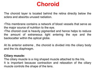 Choroid
The choroid layer is located behind the retina directly below the
sclera and absorbs unused radiation.
•This membrane contains a network of blood vessels that serve as
the major source of nutrition to the eye.
•The choroid coat is heavily pigmented and hence helps to reduce
the amount of extraneous light entering the eye and the
backscatter within the optical globe.
At its anterior extreme , the choroid is divided into the ciliary body
and the iris diaphragm.
Ciliary muscle:
The ciliary muscle is a ring shaped muscle attached to the Iris.
It is important because contraction and relaxation of the ciliary
muscle controls the shape of the lens.
 