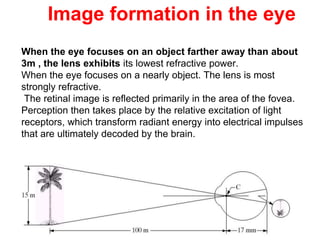 Image formation in the eye
When the eye focuses on an object farther away than about
3m , the lens exhibits its lowest refractive power.
When the eye focuses on a nearly object. The lens is most
strongly refractive.
The retinal image is reflected primarily in the area of the fovea.
Perception then takes place by the relative excitation of light
receptors, which transform radiant energy into electrical impulses
that are ultimately decoded by the brain.
 