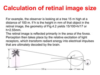 For example, the observer is looking at a tree 15 m high at a
distance of 100 m. If h is the height in mm of that object in the
retinal image, the geometry of Fig.4.2 yields 15/100=h/17 or
h=2.55mm.
The retinal image is reflected primarily in the area of the fovea.
Perception then takes place by the relative excitation of light
receptors, which transform radiant energy into electrical impulses
that are ultimately decoded by the brain.
Calculation of retinal image size
 