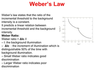 Weber’s Law
Weber’s law states that the ratio of the
incremental threshold to the background
intensity is a constant.
It predicts a linear relation between
incremental threshold and the background
intensity
Weber Ratio:
Weber ratio = ΔIc /I
– I: the background illumination
– ΔIc : the increment of illumination which is
distinguishable 50% of the time with
background illumination.
– Small Weber ratio indicates good
discrimination
– Larger Weber ratio indicates poor
discrimination
 