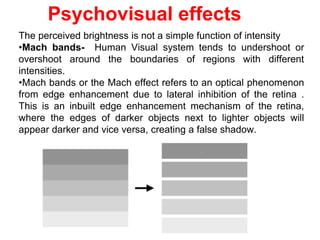 Psychovisual effects
The perceived brightness is not a simple function of intensity
•Mach bands- Human Visual system tends to undershoot or
overshoot around the boundaries of regions with different
intensities.
•Mach bands or the Mach effect refers to an optical phenomenon
from edge enhancement due to lateral inhibition of the retina .
This is an inbuilt edge enhancement mechanism of the retina,
where the edges of darker objects next to lighter objects will
appear darker and vice versa, creating a false shadow.
 