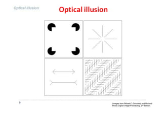 Optical illusion
 