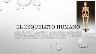 EL ESQUELETO HUMANO 
AYUDA AL CUERPO A MANTENER LA HOMEOSTASIA AL PERMITIRLE 
REACCIONAR A LOS CAMBIOS DE LOS AMBIENTES TANTO EXTERNO COMO 
INTERNO. EL SISTEMA ESQUELÉTICO ESTÁ CONSTITUIDO POR HUESOS Y 
ARTICULACIONES, ARTICULACIONES ENTRE LOS HUESOS. 
 