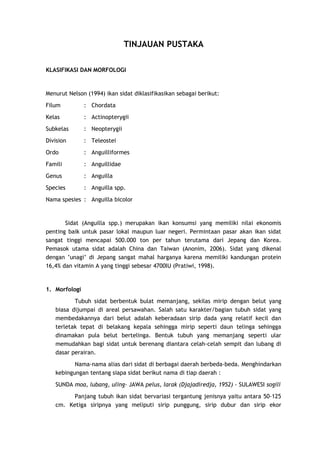 TINJAUAN PUSTAKA
KLASIFIKASI DAN MORFOLOGI

Menurut Nelson (1994) ikan sidat diklasifikasikan sebagai berikut:
Filum

: Chordata

Kelas

: Actinopterygii

Subkelas

: Neopterygii

Division

: Teleostei

Ordo

: Anguilliformes

Famili

: Anguillidae

Genus

: Anguilla

Species

: Anguilla spp.

Nama spesies : Anguilla bicolor

Sidat (Anguilla spp.) merupakan ikan konsumsi yang memiliki nilai ekonomis
penting baik untuk pasar lokal maupun luar negeri. Permintaan pasar akan ikan sidat
sangat tinggi mencapai 500.000 ton per tahun terutama dari Jepang dan Korea.
Pemasok utama sidat adalah China dan Taiwan (Anonim, 2006). Sidat yang dikenal
dengan ’unagi’ di Jepang sangat mahal harganya karena memiliki kandungan protein
16,4% dan vitamin A yang tinggi sebesar 4700IU (Pratiwi, 1998).

1. Morfologi
Tubuh sidat berbentuk bulat memanjang, sekilas mirip dengan belut yang
biasa dijumpai di areal persawahan. Salah satu karakter/bagian tubuh sidat yang
membedakannya dari belut adalah keberadaan sirip dada yang relatif kecil dan
terletak tepat di belakang kepala sehingga mirip seperti daun telinga sehingga
dinamakan pula belut bertelinga. Bentuk tubuh yang memanjang seperti ular
memudahkan bagi sidat untuk berenang diantara celah-celah sempit dan lubang di
dasar perairan.
Nama-nama alias dari sidat di berbagai daerah berbeda-beda. Menghindarkan
kebingungan tentang siapa sidat berikut nama di tiap daerah :
SUNDA moa, lubang, uling- JAWA pelus, larak (Djajadiredja, 1952) - SULAWESI sogili
Panjang tubuh ikan sidat bervariasi tergantung jenisnya yaitu antara 50-125
cm. Ketiga siripnya yang meliputi sirip punggung, sirip dubur dan sirip ekor

 