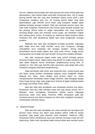 lain-lain. Adaptasi bentuk badan ikan sidat pertama kali mulai terlihat pada fase
leptocephalus, yaitu bentuk badan yang pipih menyerupai daun. Hal ini sangat
penting dimiliki oleh ikan yang akan melakukan migrasi secara pasif ( pasif
transported) mengikuti pola arus. Di samping bentuk badan yang pipih
lapthocephalus juga memiliki warna badan yang transparan sebagai upaya
adaptasi terhadap serangan predator. Pada saat memasuki perairan tawar ikan
sidat mulai mengalami metamorfosis yaitu bentuk badan berubah menjadi oval
dan panjang. Bentuk badan ini sangat memudahkan ikan untuk bergerak/
berenang dengan cepat saat memasuki muara sungai, dan melakukan tingkah
laku meliang dalam lumpur. Di samping itu, kelenturan badan berperan dalam
membantu ikan sidat bersembunyi dibalik batu untuk menghindari serangan
predator.
Pigmetasi ikan sidat akan beradaptasi terhadap perubahan lingkungan
pada tahap larva ikan tidak memiliki warna atau transparan, sehingga
memudahkan larva mengindar dari serangan predator. Seiring dengan
pertambahan ukuran badan pigmen ikan sidat mulai muncul, hingga ukuran
matang gonad warna badan ikan akan semakin terang untuk mengikat pasangan.
Ikan sidat mempunyai bagian badan yang sensitif terhadap getaran
terutama di bagian lateral. Bagian badan yang sensitif ini sangat membantu ikan
sidat dalam bergerak karena kemampuan penglihatannya kurang baik. Di
samping itu, ikan sidat juga memiliki organ penciuman yang sangat baik untuk
membantu mengatasi kelemahan penglihatannya.
Organ pernafasan sidat terdiri atas insang dan kulit. Lamela-lamela yang
ada dalam insang memberi kemampuan padanya untuk mengambil oksigen
langsung dari udara, selain oksigen yang terlarut dalam air. Untuk
mempertahankan kelembaban dalam rongga branchial, sidat dilengkapi dengan
tutup insang berupa organ yang sangat kecil terletak di bagian belakang kepala
dan sangat sulit dilihat (Tesch, 2003).
Mata ikan sidat akan beradaptasi saat memasukan perairan laut dalam.
Pembesaran mata ikan sidat mencapai empat kali lipat ukuran normal, hal ini
dilakukan untuk meningkatan kemampuan melihat karena lingkungan
perairannya sudah mulai gelap. Pankhrust (1982) menyatakan pada saat
memasuki perairan laut dalam komposisi sel retina akan mengalami perubahan,
menyesuaikan intensitas cahaya.

2)

Adaptasi Fisiologi
Pada saat ikan sidat menyiapkan diri untuk memijah dan bermigrasi dari
perairan tawar menuju laut dalam yang jaraknya sekitar 3.000 km terjadi
perubahan pada badan yaitu diameter mata membesar. Pankhrust (1982)
menyatakan bahwa membesarnya mata saat memijah mencapai empat kali dari
sebelumnya. Selain mata, perubahan badan lainnya ketika akan memijah antara

 