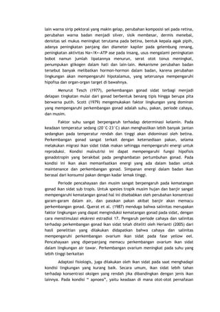 lain warna sirip pektoral yang makin gelap, perubahan komposisi sel pada retina,
perubahan warna badan menjadi silver, sisik membesar, dermis menebal,
densitas sel mukus meningkat terutama pada betina, bentuk kepala agak pipih,
adanya peningkatan panjang dan diameter kapiler pada gelembung renang,
peningkatan aktivitas Na+/K+-ATP ase pada insang, usus mengalami peningkatan
bobot namun jumlah lipatannya menurun, serat otot tonus meningkat,
penumpukan glikogen dalam hati dan lain-lain. Mekanisme perubahan badan
tersebut banyak melibatkan hormon-hormon dalam badan, karena perubahan
lingkungan akan mempengaruhi hipotalamus, yang seterusnya mempengaruhi
hipofisa dan organ-organ target di bawahnya.
Menurut Tesch (1977), perkembangan gonad sidat terbagi menjadi
delapan tingkatan mulai dari gonad berbentuk benang tipis hingga berupa pita
berwarna putih. Scott (1979) mengemukakan faktor lingkungan yang dominan
yang mempengaruhi perkembangan gonad adalah suhu, pakan, periode cahaya,
dan musim.
Faktor suhu sangat berpengaruh terhadap determinasi kelamin. Pada
keadaan temperatur sedang (20°C–23°C) akan menghasilkan lebih banyak jantan
sedangkan pada temperatur rendah dan tinggi akan didominasi oleh betina.
Perkembangan gonad sangat terkait dengan ketersediaan pakan, selama
melakukan migrasi ikan sidat tidak makan sehingga mempengaruhi energi untuk
reproduksi. Kondisi malnutrisi ini dapat mempengaruhi fungsi hipofisis
gonadotropin yang berakibat pada penghambatan pertumbuhan gonad. Pada
kondisi ini ikan akan memanfaatkan energi yang ada dalam badan untuk
maintenance dan perkembangan gonad. Simpanan energi dalam badan ikan
berasal dari konsumsi pakan dengan kadar lemak tinggi.
Periode pencahayaan dan musim sangat berpengaruh pada kematangan
gonad ikan sidat sub tropis. Untuk spesies tropik musim hujan dan banjir sangat
mempengaruhi kematangan gonad hal ini disebabkan oleh perubahan konsentrasi
garam-garam dalam air, dan pasokan pakan akibat banjir akan memacu
perkembangan gonad. Querat et al. (1987) menduga bahwa salinitas merupakan
faktor lingkungan yang dapat menginduksi kematangan gonad pada sidat, dengan
cara menstimulasi ekskresi estradiol 17. Pengaruh periode cahaya dan salinitas
terhadap perkembangan gonad ikan sidat telah diteliti oleh Herianti (2005) dari
hasil penelitian yang dilakukan didapatkan bahwa cahaya dan salinitas
mempengaruhi perkembangan ovarium ikan sidat pada fase yellow eel.
Pencahayaan yang diperpanjang memacu perkembangan ovarium ikan sidat
dalam lingkungan air tawar. Perkembangan ovarium meningkat pada suhu yang
lebih tinggi berkaitan
Adaptasi fisiologis, juga dilakukan oleh ikan sidat pada saat menghadapi
kondisi lingkungan yang kurang baik. Secara umum, ikan sidat lebih tahan
terhadap konsentrasi oksigen yang rendah jika dibandingkan dengan jenis ikan
lainnya. Pada kondisi “ apnoea”, yaitu keadaan di mana otot-otot pernafasan

 