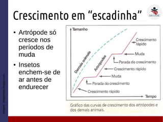 Crescimento em “escadinha”
● Artrópode só
cresce nos
períodos de
muda
● Insetos
enchem-se de
ar antes de
endurecer
Imagem:bloggiologia.blogspot.com
 