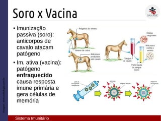 ● Imunização
passiva (soro):
anticorpos de
cavalo atacam
patógeno
● Im. ativa (vacina):
patógeno
enfraquecido
causa resposta
imune primária e
gera células de
memória
Imagem:www.sobiologia.com.br
Soro x Vacina
Sistema Imunitário
 