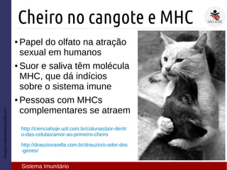 ● Papel do olfato na atração
sexual em humanos
● Suor e saliva têm molécula
MHC, que dá indícios
sobre o sistema imune
● Pessoas com MHCs
complementares se atraem
Imagem:catloversday.tumblr.com
Cheiro no cangote e MHC
Sistema Imunitário
http://cienciahoje.uol.com.br/colunas/por-dentr
o-das-celulas/amor-ao-primeiro-cheiro
http://drauziovarella.com.br/drauzio/o-odor-dos
-genes/
 