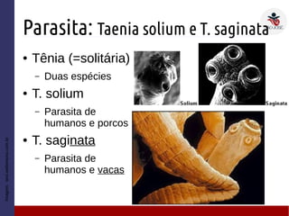 Parasita: Taenia solium e T. saginata
● Tênia (=solitária)
– Duas espécies
● T. solium
– Parasita de
humanos e porcos
● T. saginata
– Parasita de
humanos e vacas
Imagem:sesi.webensino.com.br
 