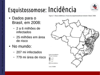 Esquistossomose: Incidência
Imagem:http://portal.saude.gov.br/portal/arquivos/pdf/gve_7ed_web_atual_esquistissomose_mansonica.pdf
● Dados para o
Brasil, em 2008:
– 2 a 6 milhões de
infectados
– 25 milhões em área
de risco
● No mundo:
– 207 mi infectados
– 779 mi área de risco
 