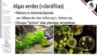 Prof. Kyoshi Beraldo
©
Algas verdes (=clorófitas)
• Macro e microscópicas
ex: Alface do mar (Ulva sp.), Volvox sp.
• Grupo "primo" das plantas terrestres
#05
Algas
Protoctista
Eukarya
Caracteriz.
Definição
Ecologia
Economia
Diversidad.
Verdes
Pardas
Vermelh.
Pigment.
Diatoms
Euglenas
Dinos
maré
corais
Carófitas
Ciclos
Alternânc. Foto: Kyoshi Beraldo
 