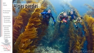 Prof. Kyoshi Beraldo
©
Algas pardas
#05
Algas
Protoctista
Eukarya
Caracteriz.
Definição
Ecologia
Economia
Diversidad.
Verdes
Pardas
Vermelh.
Pigment.
Diatoms
Euglenas
Dinos
maré
corais
Carófitas
Ciclos
Alternânc.
 