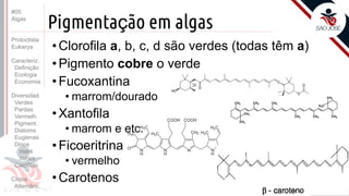 Prof. Kyoshi Beraldo
©
Pigmentação em algas
• Clorofila a, b, c, d são verdes (todas têm a)
• Pigmento cobre o verde
• Fucoxantina
• marrom/dourado
• Xantofila
• marrom e etc.
• Ficoeritrina
• vermelho
• Carotenos
#05
Algas
Protoctista
Eukarya
Caracteriz.
Definição
Ecologia
Economia
Diversidad.
Verdes
Pardas
Vermelh.
Pigment.
Diatoms
Euglenas
Dinos
maré
corais
Carófitas
Ciclos
Alternânc.
 
