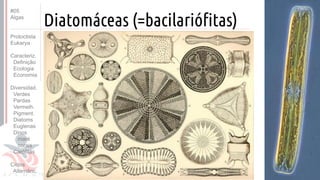 Prof. Kyoshi Beraldo
©
Diatomáceas (=bacilariófitas)
#05
Algas
Protoctista
Eukarya
Caracteriz.
Definição
Ecologia
Economia
Diversidad.
Verdes
Pardas
Vermelh.
Pigment.
Diatoms
Euglenas
Dinos
maré
corais
Carófitas
Ciclos
Alternânc.
 