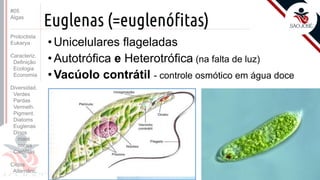 Prof. Kyoshi Beraldo
©
Euglenas (=euglenófitas)
• Unicelulares flageladas
• Autotrófica e Heterotrófica (na falta de luz)
• Vacúolo contrátil - controle osmótico em água doce
#05
Algas
Protoctista
Eukarya
Caracteriz.
Definição
Ecologia
Economia
Diversidad.
Verdes
Pardas
Vermelh.
Pigment.
Diatoms
Euglenas
Dinos
maré
corais
Carófitas
Ciclos
Alternânc.
 