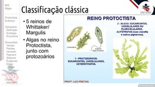 Prof. Kyoshi Beraldo
©
Classificação clássica
• 5 reinos de
Whittaker/
Margulis
• Algas no reino
Protoctista,
junto com
protozoários
#05
Algas
Protoctista
Eukarya
Caracteriz.
Definição
Ecologia
Economia
Diversidad.
Verdes
Pardas
Vermelh.
Pigment.
Diatoms
Euglenas
Dinos
maré
corais
Carófitas
Ciclos
Alternânc.
 