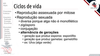 Prof. Kyoshi Beraldo
©
Ciclos de vida
• Reprodução assexuada por mitose
• Reprodução sexuada
• diversa porque alga não é monofilético
• zigósporo
• conjugação
• alternância de gerações
• geração que produz esporos: esporófito
• geração que produz gametas: gametófito
• ex: Ulva (alga verde)
#05
Algas
Protoctista
Eukarya
Caracteriz.
Definição
Ecologia
Economia
Diversidad.
Verdes
Pardas
Vermelh.
Pigment.
Diatoms
Euglenas
Dinos
maré
corais
Carófitas
Ciclos
Alternânc.
 
