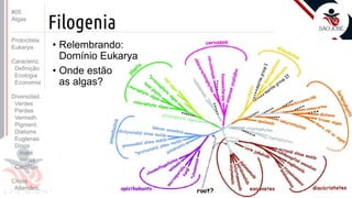 Prof. Kyoshi Beraldo
©
Filogenia
• Relembrando:
Domínio Eukarya
• Onde estão
as algas?
#05
Algas
Protoctista
Eukarya
Caracteriz.
Definição
Ecologia
Economia
Diversidad.
Verdes
Pardas
Vermelh.
Pigment.
Diatoms
Euglenas
Dinos
maré
corais
Carófitas
Ciclos
Alternânc.
 