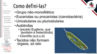 Prof. Kyoshi Beraldo
©
Como defini-las?
• Grupo não-monofilético
• Eucariotas ou procariotas (cianobactéria)
• Unicelulares ou pluricelulares
• Autótrofas
• (exceto Euglena, que
também é heterótrofa)
• Clorofila (a,b,c,d)
• Tecidos não formam
órgaos, só talo
#05
Algas
Protoctista
Eukarya
Caracteriz.
Definição
Ecologia
Economia
Diversidad.
Verdes
Pardas
Vermelh.
Pigment.
Diatoms
Euglenas
Dinos
maré
corais
Carófitas
Ciclos
Alternânc.
 