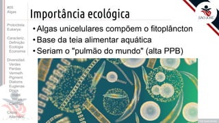 Prof. Kyoshi Beraldo
©
Importância ecológica
• Algas unicelulares compõem o fitoplâncton
• Base da teia alimentar aquática
• Seriam o "pulmão do mundo" (alta PPB)
#05
Algas
Protoctista
Eukarya
Caracteriz.
Definição
Ecologia
Economia
Diversidad.
Verdes
Pardas
Vermelh.
Pigment.
Diatoms
Euglenas
Dinos
maré
corais
Carófitas
Ciclos
Alternânc.
 