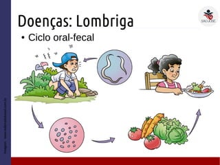 Doenças: Lombriga
● Ciclo oral-fecal
– D
Imagem:www.editoradobrasil.com.br
 