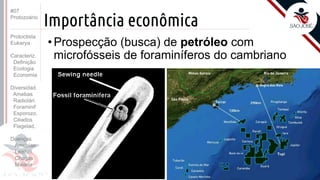 Prof. Kyoshi Beraldo
©
Importância econômica
• Prospecção (busca) de petróleo com
microfósseis de foraminíferos do cambriano
#07
Protozoário
Protoctista
Eukarya
Caracteriz.
Definição
Ecologia
Economia
Diversidad.
Amebas
Radiolári.
Foraminif
Esporozo.
Ciliados
Flagelad,
Doenças
Amebías.
Leishm.
Chagas
Malária
 