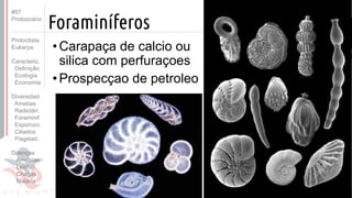 Prof. Kyoshi Beraldo
©
Foraminíferos
• Carapaça de calcio ou
silica com perfuraçoes
• Prospecçao de petroleo
#07
Protozoário
Protoctista
Eukarya
Caracteriz.
Definição
Ecologia
Economia
Diversidad.
Amebas
Radiolári.
Foraminif
Esporozo.
Ciliados
Flagelad,
Doenças
Amebías.
Leishm.
Chagas
Malária
 