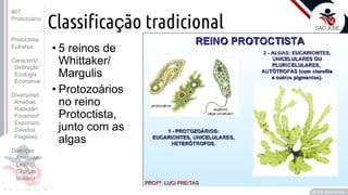 Prof. Kyoshi Beraldo
©
Classificação tradicional
• 5 reinos de
Whittaker/
Margulis
• Protozoários
no reino
Protoctista,
junto com as
algas
#07
Protozoário
Protoctista
Eukarya
Caracteriz.
Definição
Ecologia
Economia
Diversidad.
Amebas
Radiolári.
Foraminif
Esporozo.
Ciliados
Flagelad,
Doenças
Amebías.
Leishm.
Chagas
Malária
 