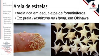 Prof. Kyoshi Beraldo
©
Areia de estrelas
• Areia rica em esqueletos de foraminíferos
• Ex: praia Hoshizuna no Hama, em Okinawa
#07
Protozoário
Protoctista
Eukarya
Caracteriz.
Definição
Ecologia
Economia
Diversidad.
Amebas
Radiolári.
Foraminif
Esporozo.
Ciliados
Flagelad,
Doenças
Amebías.
Leishm.
Chagas
Malária
 