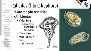 Prof. Kyoshi Beraldo
©
Ciliados (filo Ciliophora)
• Locomoção por cílios
• Ambientes
• Vida livre
• exemplos:
- paramécio
- vorticella
• Parasitas
• Mutualismo
com
ruminantes
#07
Protozoário
Protoctista
Eukarya
Caracteriz.
Definição
Ecologia
Economia
Diversidad.
Amebas
Radiolári.
Foraminif
Esporozo.
Ciliados
Flagelad,
Doenças
Amebías.
Leishm.
Chagas
Malária
 
