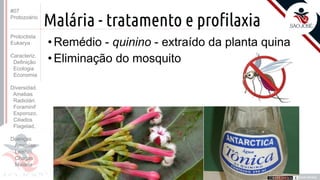 Prof. Kyoshi Beraldo
©
Malária - tratamento e profilaxia
• Remédio - quinino - extraído da planta quina
• Eliminação do mosquito
#07
Protozoário
Protoctista
Eukarya
Caracteriz.
Definição
Ecologia
Economia
Diversidad.
Amebas
Radiolári.
Foraminif
Esporozo.
Ciliados
Flagelad,
Doenças
Amebías.
Leishm.
Chagas
Malária
 