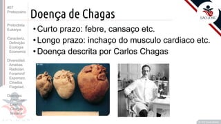 Prof. Kyoshi Beraldo
©
Doença de Chagas
• Curto prazo: febre, cansaço etc.
• Longo prazo: inchaço do musculo cardiaco etc.
• Doença descrita por Carlos Chagas
#07
Protozoário
Protoctista
Eukarya
Caracteriz.
Definição
Ecologia
Economia
Diversidad.
Amebas
Radiolári.
Foraminif
Esporozo.
Ciliados
Flagelad,
Doenças
Amebías.
Leishm.
Chagas
Malária
 