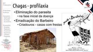 Prof. Kyoshi Beraldo
©
Chagas - profilaxia
• Eliminação do parasita
• na fase inicial da doença
• Erradicação do Barbeiro
• Criadouros - casas com frestas
#07
Protozoário
Protoctista
Eukarya
Caracteriz.
Definição
Ecologia
Economia
Diversidad.
Amebas
Radiolári.
Foraminif
Esporozo.
Ciliados
Flagelad,
Doenças
Amebías.
Leishm.
Chagas
Malária
 