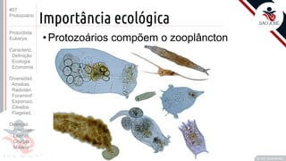 Prof. Kyoshi Beraldo
©
Importância ecológica
• Protozoários compõem o zooplâncton
#07
Protozoário
Protoctista
Eukarya
Caracteriz.
Definição
Ecologia
Economia
Diversidad.
Amebas
Radiolári.
Foraminif
Esporozo.
Ciliados
Flagelad,
Doenças
Amebías.
Leishm.
Chagas
Malária
 