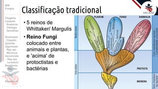 Prof. Kyoshi Beraldo
©
Classificação tradicional
• 5 reinos de
Whittaker/ Margulis
• Reino Fungi
colocado entre
animais e plantas,
e 'acima' de
protoctistas e
bactérias
#08
Fungos
Filogenia
Caracter.
Anatomia
Citologia
Semelhan.
Diversidad.
Classific.
Quitridio
Zigomiceto
Rep sex
Micorriza
Ascomiceto
Rep sex
Levedura
Basidiomic
Rep sex
Líquen
Myxomicot
 