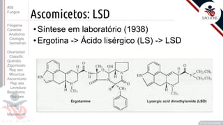 Prof. Kyoshi Beraldo
©
Ascomicetos: LSD
•Síntese em laboratório (1938)
•Ergotina -> Ácido lisérgico (LS) -> LSD
#08
Fungos
Filogenia
Caracter.
Anatomia
Citologia
Semelhan.
Diversidad.
Classific.
Quitridio
Zigomiceto
Rep sex
Micorriza
Ascomiceto
Rep sex
Levedura
Basidiomic
Rep sex
Líquen
Myxomicot
 