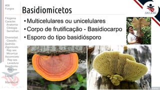 Prof. Kyoshi Beraldo
©
Basidiomicetos
• Multicelulares ou unicelulares
• Corpo de frutificação - Basidiocarpo
• Esporo do tipo basidiósporo
#08
Fungos
Filogenia
Caracter.
Anatomia
Citologia
Semelhan.
Diversidad.
Classific.
Quitridio
Zigomiceto
Rep sex
Micorriza
Ascomiceto
Rep sex
Levedura
Basidiomic
Rep sex
Líquen
Myxomicot
 
