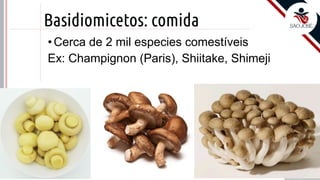 Prof. Kyoshi Beraldo
©
Basidiomicetos: comida
• Cerca de 2 mil especies comestíveis
Ex: Champignon (Paris), Shiitake, Shimeji
 