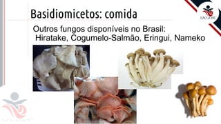 Prof. Kyoshi Beraldo
©
Basidiomicetos: comida
Outros fungos disponíveis no Brasil:
Hiratake, Cogumelo-Salmão, Eringui, Nameko
 